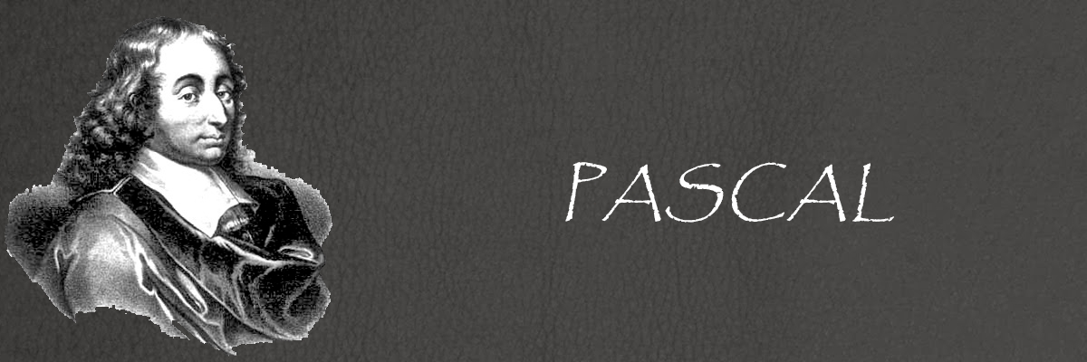 Site pédagogique Pascal screenshot 3